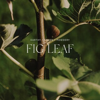 Foto 3 | Foto 3 | Difusor De Ambiente Para El Hogar Antica Farmacista Green Fig, 500 Ml - Venta Internacional.