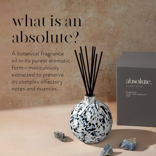 Foto 4 | Foto 4 | Difusor Reed Lafco New York Absolute Collection Clary Sage - Venta Internacional.