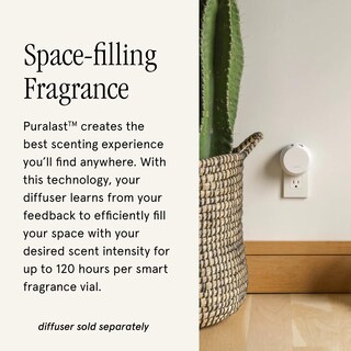 Foto 3 | Foto 3 | Recambio Para Difusor De Aire Smart Home Pura Malodor, Paquete De 2 - Venta Internacional.