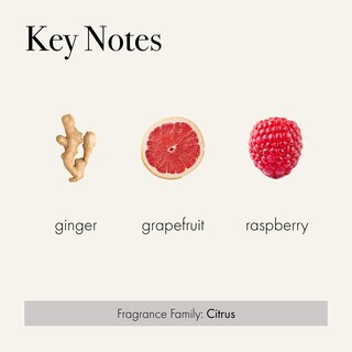 Foto 3 | Foto 3 | Difusor Reed Lafco New York Classic Champán 180 Ml - Venta Internacional.