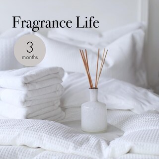 Foto 4 | Foto 4 | Difusor Reed Lafco New York Classic Champán 180 Ml - Venta Internacional.