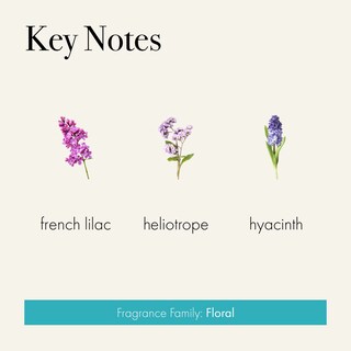 Foto 3 | Foto 3 | Difusor Reed Lafco New York Signature French Lilac 450 Ml - Venta Internacional.