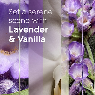 Foto 3 | Foto 3 | Recambios Glade Plugins Para Ambientador Lavanda Y Vainilla 100 Ml X 5 - Venta Internacional.