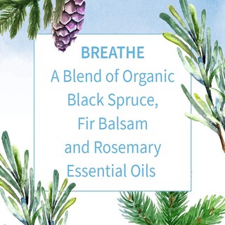 Foto 3 | Foto 3 | Mezcla De Aceites Esenciales Garden Of Life Breathe, 15 Ml, 100% Orgánicos - Venta Internacional.