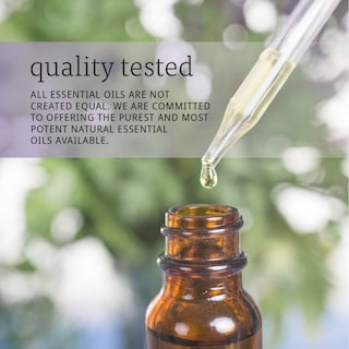 Foto 6 | Foto 6 | Aceite Esencial Now Foods Clavo, 30 Ml, 100% Vegano Puro - Venta Internacional.