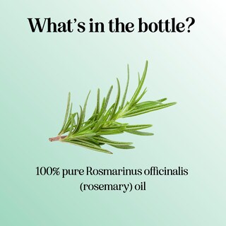 Foto 5 | Foto 5 | Aceite Esencial Maple Holistics Pure Rosemary 30 Ml - Venta Internacional.