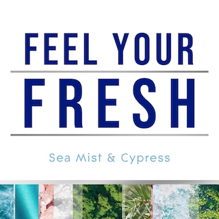 Foto 3 | Foto 3 | Recambios Para Ambientador Glade Plugins Sea Mist & Cypress 20 Ml X 10 - Venta Internacional.