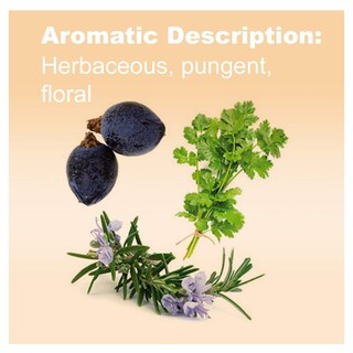 Foto 3 | Foto 3 | Aceite Esencial Doterra De Romero Cilantro Y Bayas De Enebro 15 Ml - Venta Internacional.