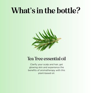 Foto 4 | Foto 4 | Aceite Esencial De Árbol De Té Maple Holistics 120 Ml 100% Puro - Venta Internacional.
