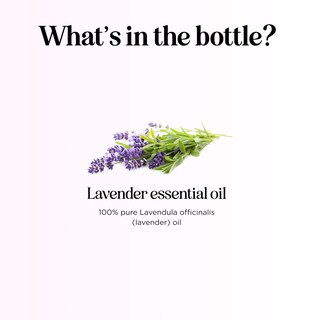 Foto 4 | Foto 4 | Aceite Esencial Maple Holistics Pure Lavender 30 Ml - Venta Internacional.