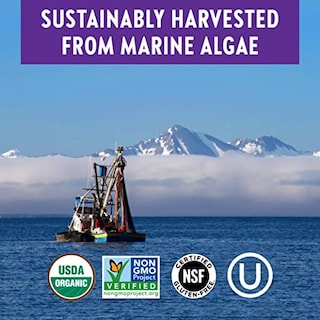 Foto 6 | Foto 6 | Suplemento De Calcio New Chapter Bone Strength 120 Comprimidos - Venta Internacional.