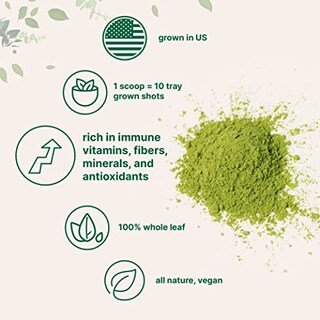 Foto 3 | Foto 3 | Microingredientes De Hierba De Trigo En Polvo, 300 Ml, 100% Orgánico - Venta Internacional.