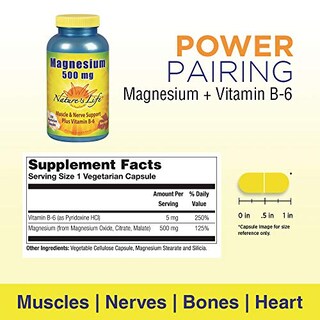 Foto 2 | Foto 2 | Suplemento De 500 Mg De Magnesio De Nature's Life Para Huesos Y Músculos - Venta Internacional.
