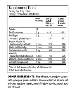 Foto 2 | Foto 2 | Suplemento Flora Iron con Complejo de Vitamina B 450 ml Vegano - Venta Internacional