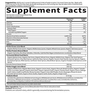 Foto 5 | Foto 5 | Suplemento Dietético En Polvo Garden Of Life Whole Perfect Green - Venta Internacional