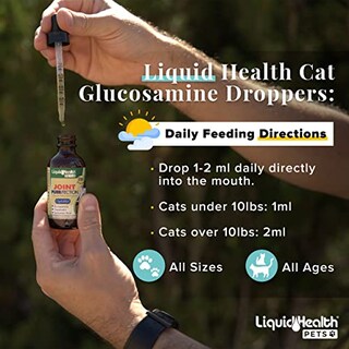 Foto 4 | Foto 4 | Suplemento Liquidhealth Líquido De Glucosamina Para Gatos, 68 Ml, Para Articulaciones - Venta Internacional.