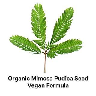 Foto 4 | Foto 4 | Suplemento De Semillas De Mimosa Pudica Orgánicas Codeage 120 Cápsulas - Venta Internacional.