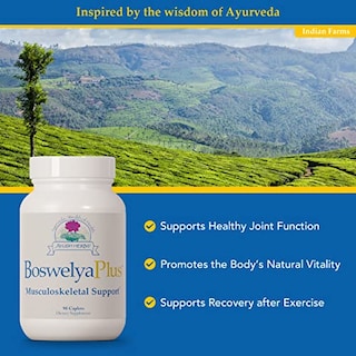 Foto 4 | Foto 4 | Suplemento Ayush Herbs Boswelya Plus Joint Support 90 Comprimidos - Venta Internacional.