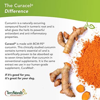 Foto 4 | Foto 4 | Suplemento Curacel Curcumin 37 De Terry Naturally Animal Health - Venta Internacional.