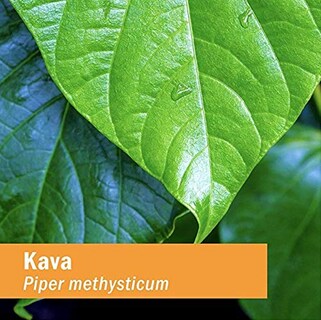 Foto 3 | Foto 3 | Extracto Líquido De Raíz De Kava Herb Pharm, 120 Ml, Reduce El Estrés - Venta Internacional.