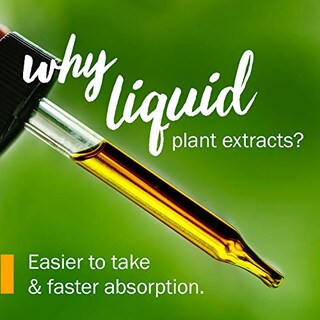 Foto 4 | Foto 4 | Extracto Líquido De Raíz De Kava Herb Pharm, 120 Ml, Reduce El Estrés - Venta Internacional.