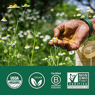 Foto 5 | Foto 5 | Amla Powder Organic India, Vitamina C, Ayuda Al Sistema Inmunitario, Bolsa De 1 Kg - Venta Internacional.