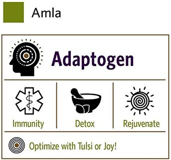 Foto 6 | Foto 6 | Amla Powder Organic India, Vitamina C, Ayuda Al Sistema Inmunitario, Bolsa De 1 Kg - Venta Internacional.