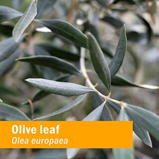 Foto 3 | Foto 3 | Extracto Líquido De Hoja De Olivo Herb Pharm, 30 Ml, Certificado Orgánico - Venta Internacional.