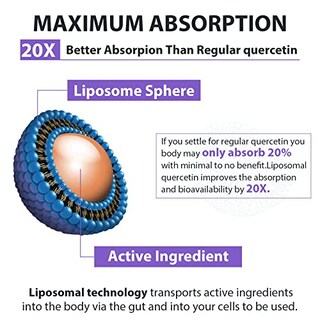Foto 4 | Foto 4 | Suplemento Orgabay De Quercetina Liposomal 1600 Mg Cápsulas Blandas - Venta Internacional