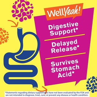 Foto 4 | Foto 4 | Gomitas Probióticas Wellyeah Para Mujeres, 10 Mil Millones De Cfu (2x30) - Venta Internacional.