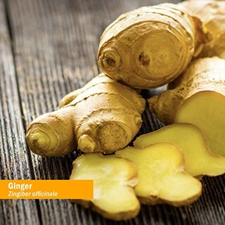 Foto 2 | Foto 2 | Extracto Líquido Herb Pharm Ginger Organic, 120 Ml, Digestivo - Venta Internacional.