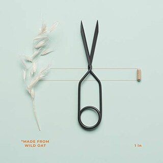 Foto 3 | Foto 3 | Suplemento Life Seasons Nitro-t Stamina & Energy Men 90 Cápsulas - Venta Internacional