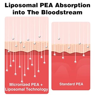 Foto 3 | Foto 3 | Suplemento Rosmolo Palmitoiletanolamida Liposomal 1000 Mg- Venta Internacional