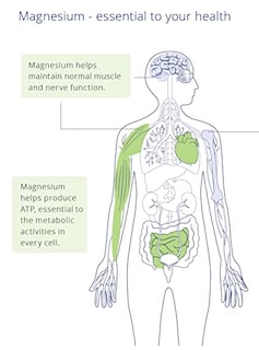 Foto 7 | Foto 7 | Suplemento Canprev Bisglicinato De Magnesio 200 240 Cápsulas - Venta Internacional.