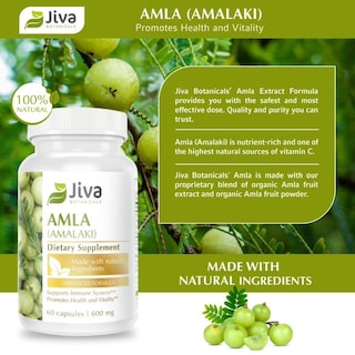Foto 2 | Foto 2 | Suplemento Jiva Botanicals Amla Capsules 120 Cápsulas Veganas - Venta Internacional.