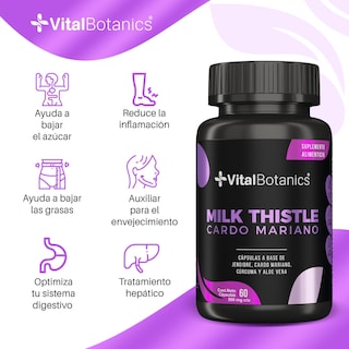 Foto 2 | Foto 2 | Milk Thistle Cardo Mariano- 60 Capsulas VITAL BOTANICS