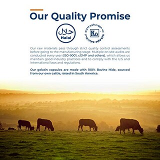 Foto 5 | Foto 5 | Cápsulas De Gelatina Vacías, Tamaño 0-1000 Unidades, Transparentes - Venta Internacional.