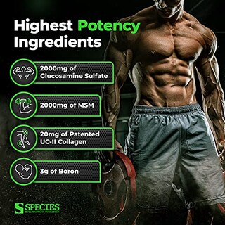 Foto 4 | Foto 4 | Supplement Species Nutrition Arthrolyze Joint Repair 300 Cap - Venta Internacional.