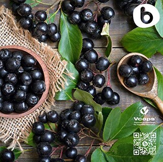 Foto 6 | Foto 6 | Suplemento De Baya De Aronia Orgánica Europea De Primera Calidad De Bobica Ca - Venta Internacional.