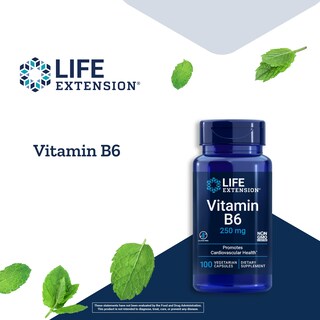 Foto 4 | Foto 4 | Suplemento De Vitamina B6 Life Extension 250 Mg - Venta Internacional.