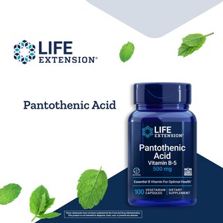 Foto 4 | Foto 4 | Vitamina B5, Ácido Pantoténico, 500 Mg Con Calcium Life Extension - Venta Internacional.