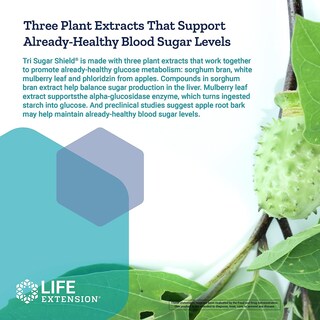 Foto 5 | Foto 5 | Suplemento Life Extension Tri Sugar Shield Para Glucose Metab - Venta Internacional.
