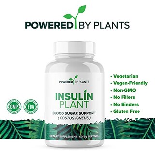 Foto 2 | Foto 2 | Planta De Insulina Supplement Research Biotech Group 750 Mg X 240 - Venta Internacional.