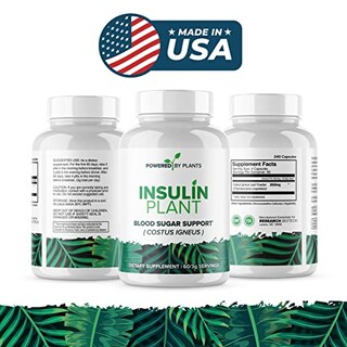 Foto 3 | Foto 3 | Planta De Insulina Supplement Research Biotech Group 750 Mg X 240 - Venta Internacional.