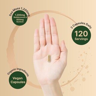 Foto 4 | Foto 4 | Suplemento Naturebell Irish Sea Moss 3000 mg 240 Cápsulas - Venta Internacional