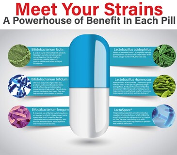 Foto 4 | Foto 4 | Suplemento Gastrodefense Stomach Armor de 60 Cápsulas-Venta Internacional