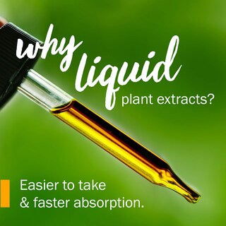 Foto 4 | Foto 4 | Extracto Líquido Limpiador de Diente de León Herb Pharm 30 ml Sin Alcohol - Venta Internacional