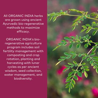 Foto 4 | Foto 4 | Suplemento Organic India Moringa 90 Cápsulas - Venta Internacional