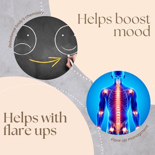 Foto 4 | Foto 4 | Suplemento Research Labs Nad+ 2 Frascos con 60 Cápsulas C/U - Venta Internacional