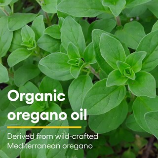 Foto 3 | Foto 3 | Suplemento Natural Factors de Aceite de Orégano 60 ml Vegano Sin Ogm - Venta Internacional